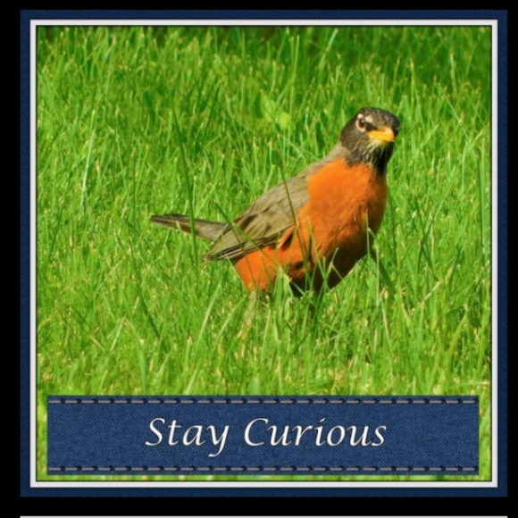 Meet your Posher, Carol - Picture 1 of 1